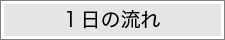 1日の流れ